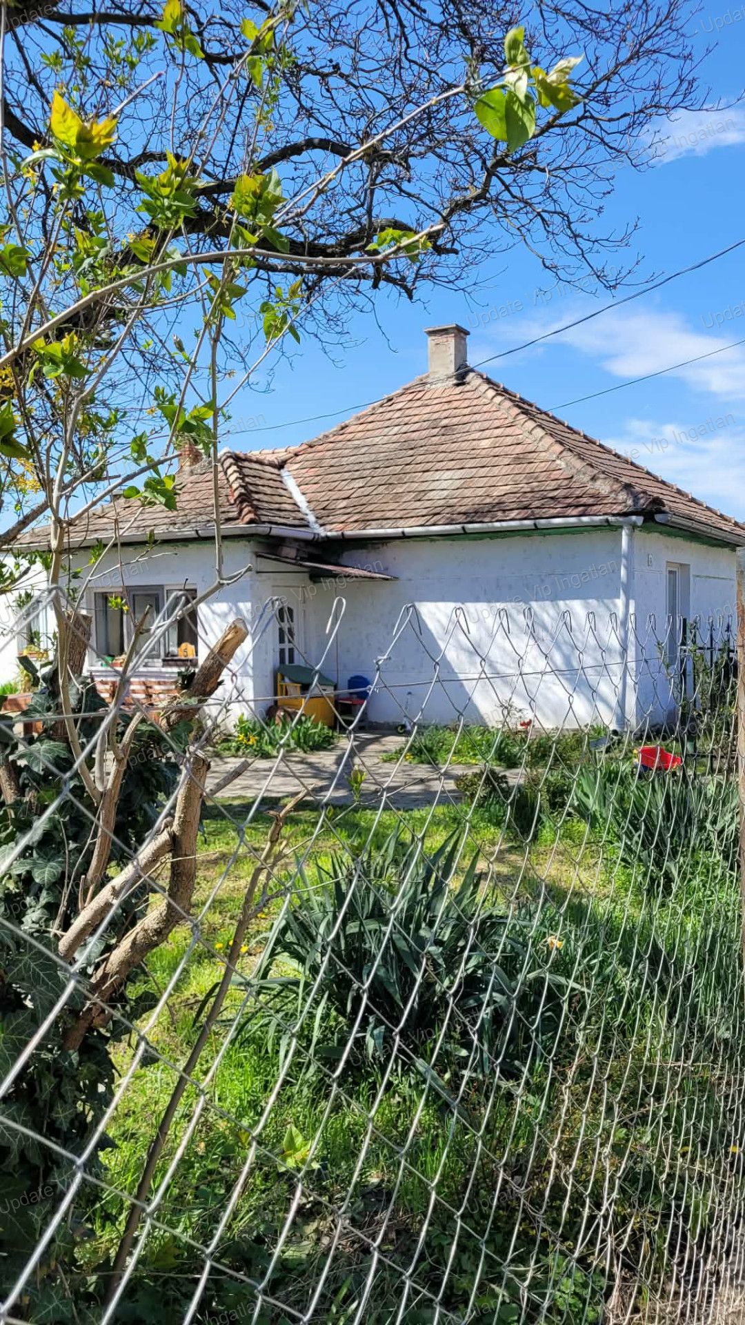 vizjeles_6273937