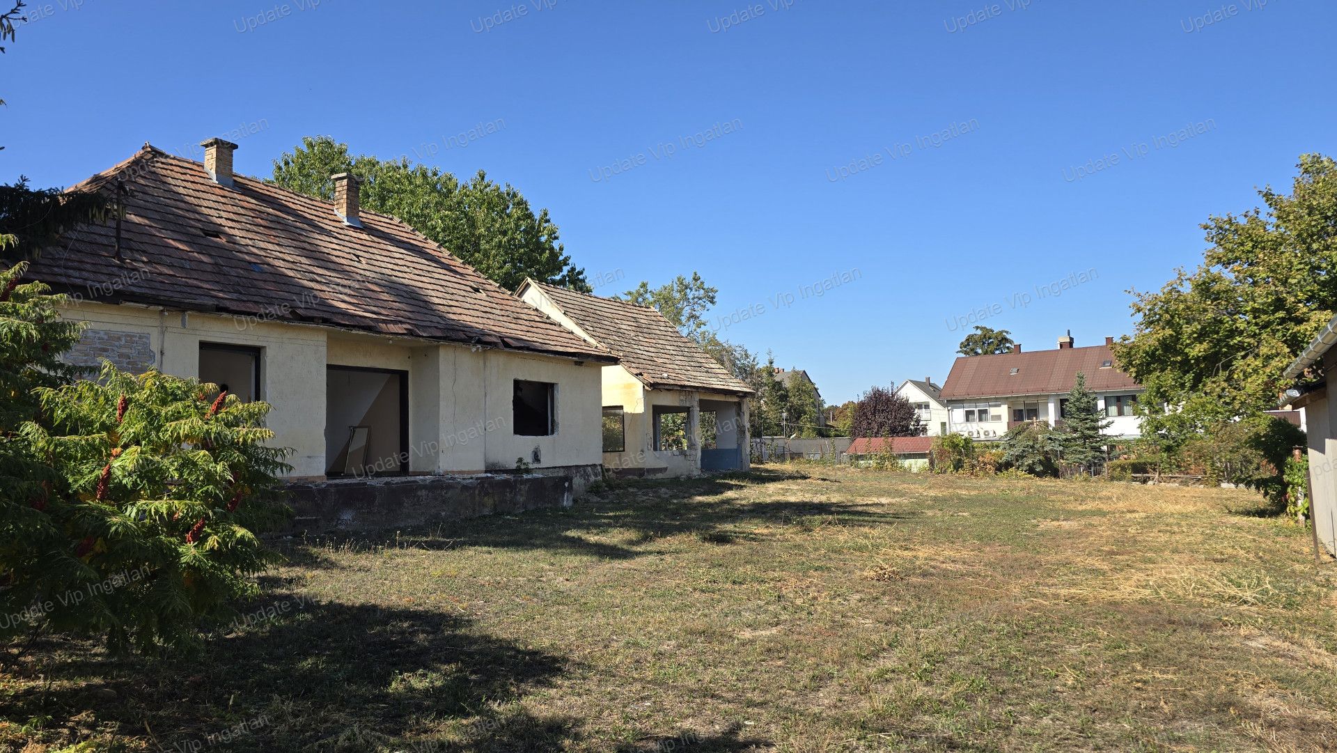 vizjeles_6352345